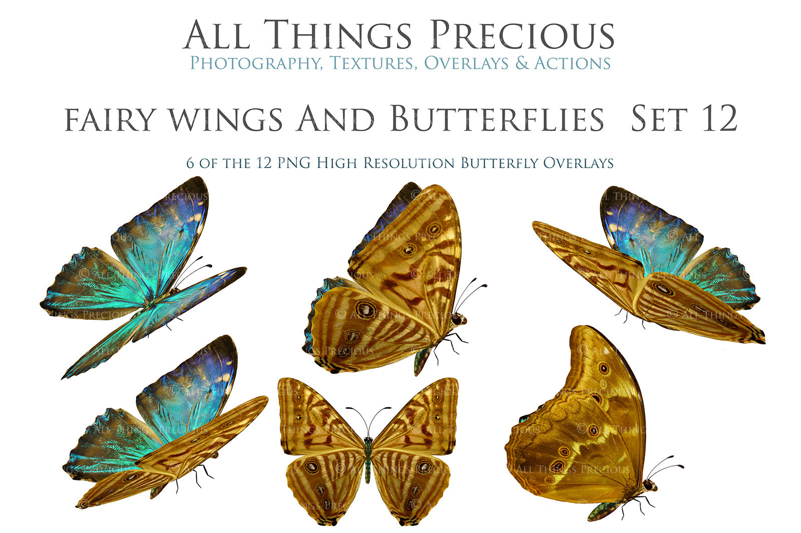 Png Digital Overlays FAIRY WINGS and BUTTERFLIES Set 12