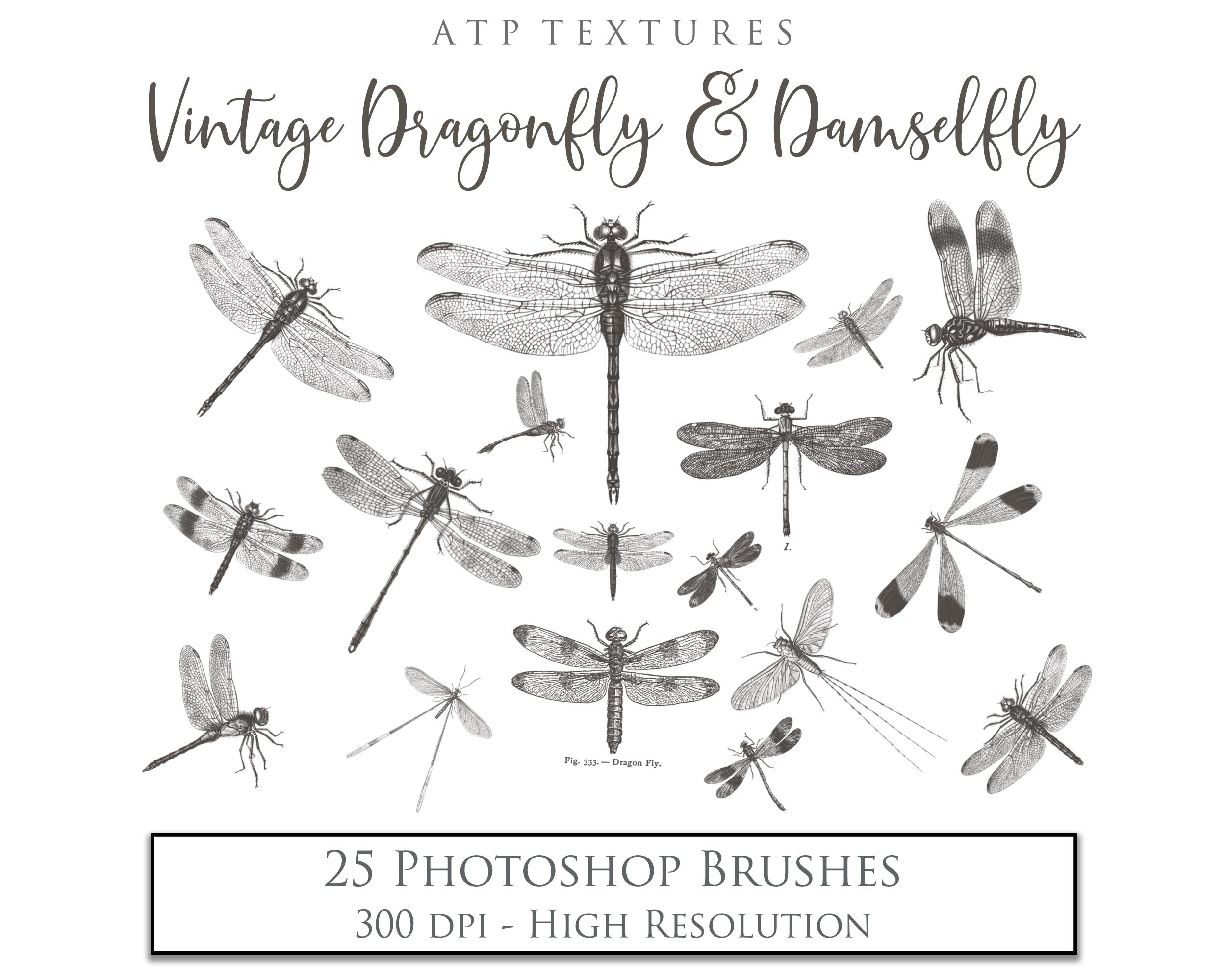 25 Beautiful Dragonfly & Damselfly photoshop Brushes. High resolution and perfect for printing without any loss in quality. ATP Textures.