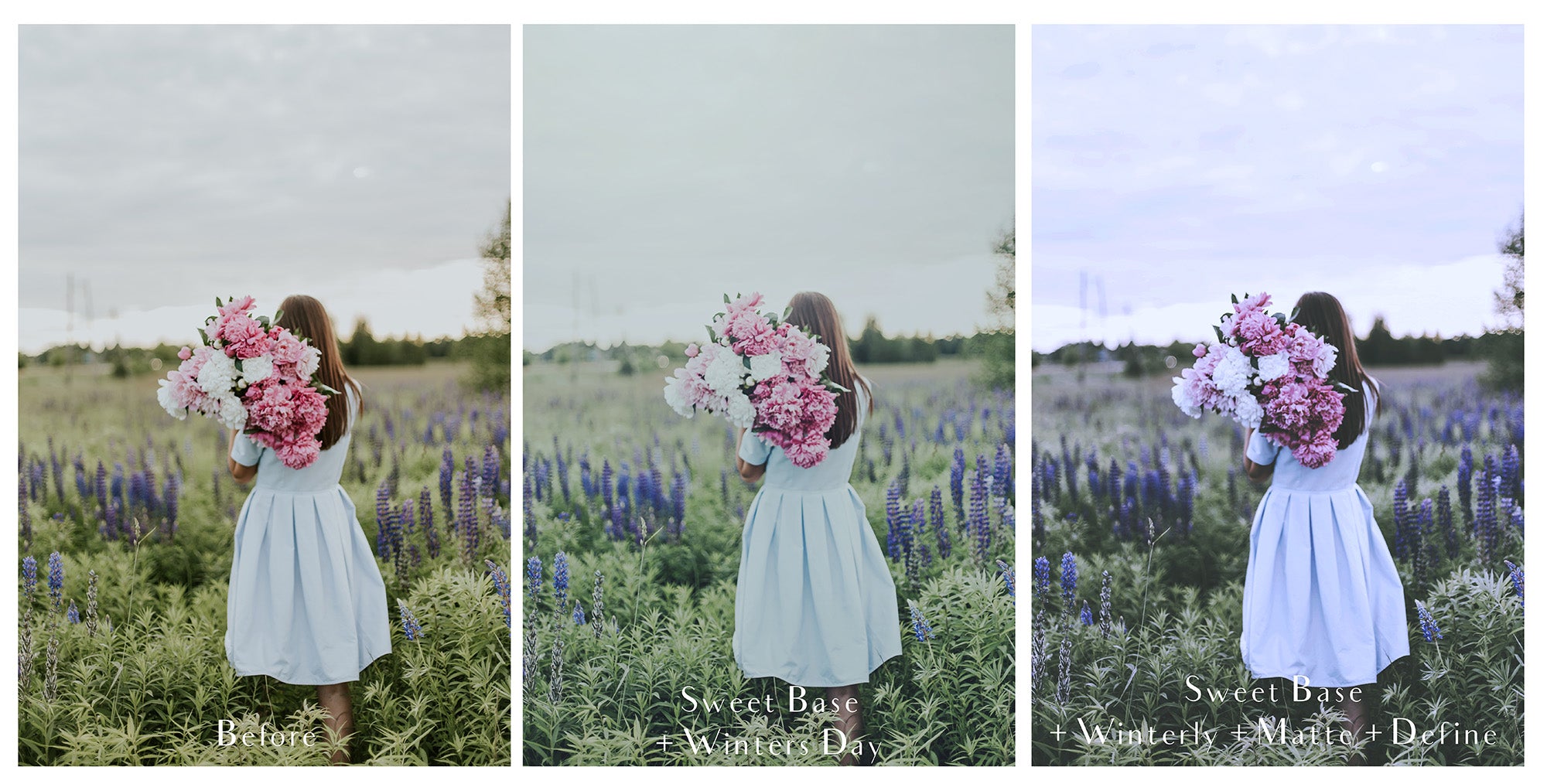Photoshop Actions WINTERLY