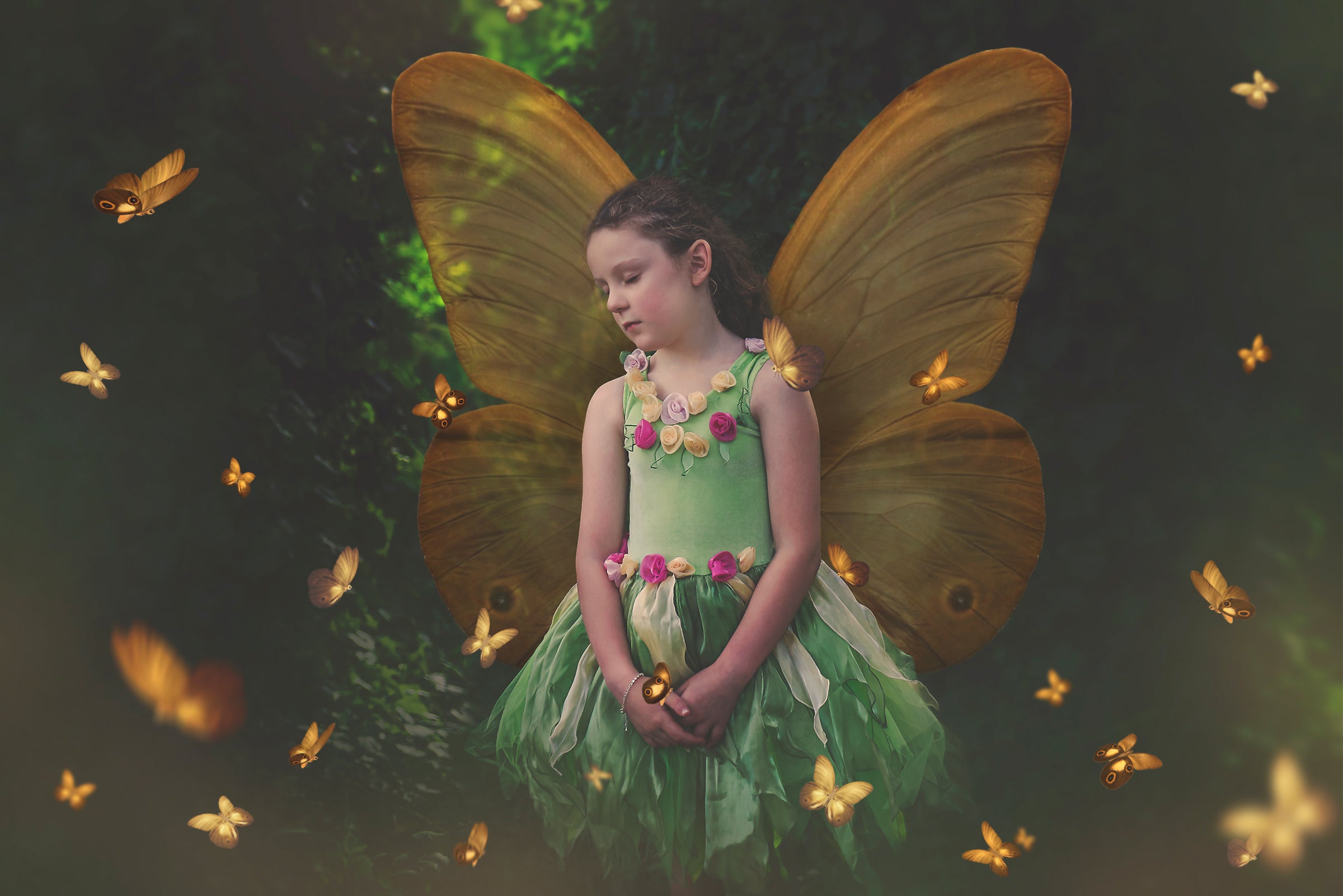 PNG BUTTERFLIES & WINGS