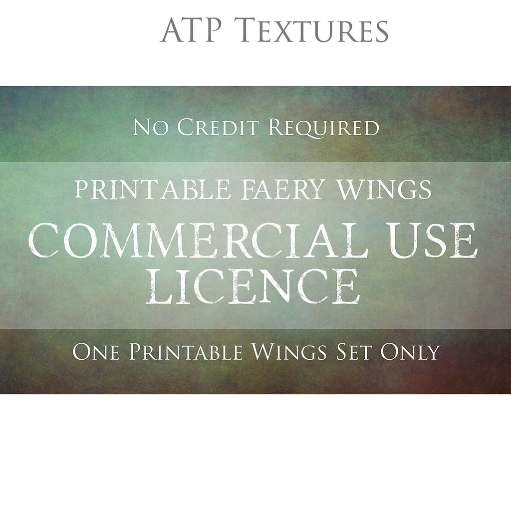 Commercial Licence