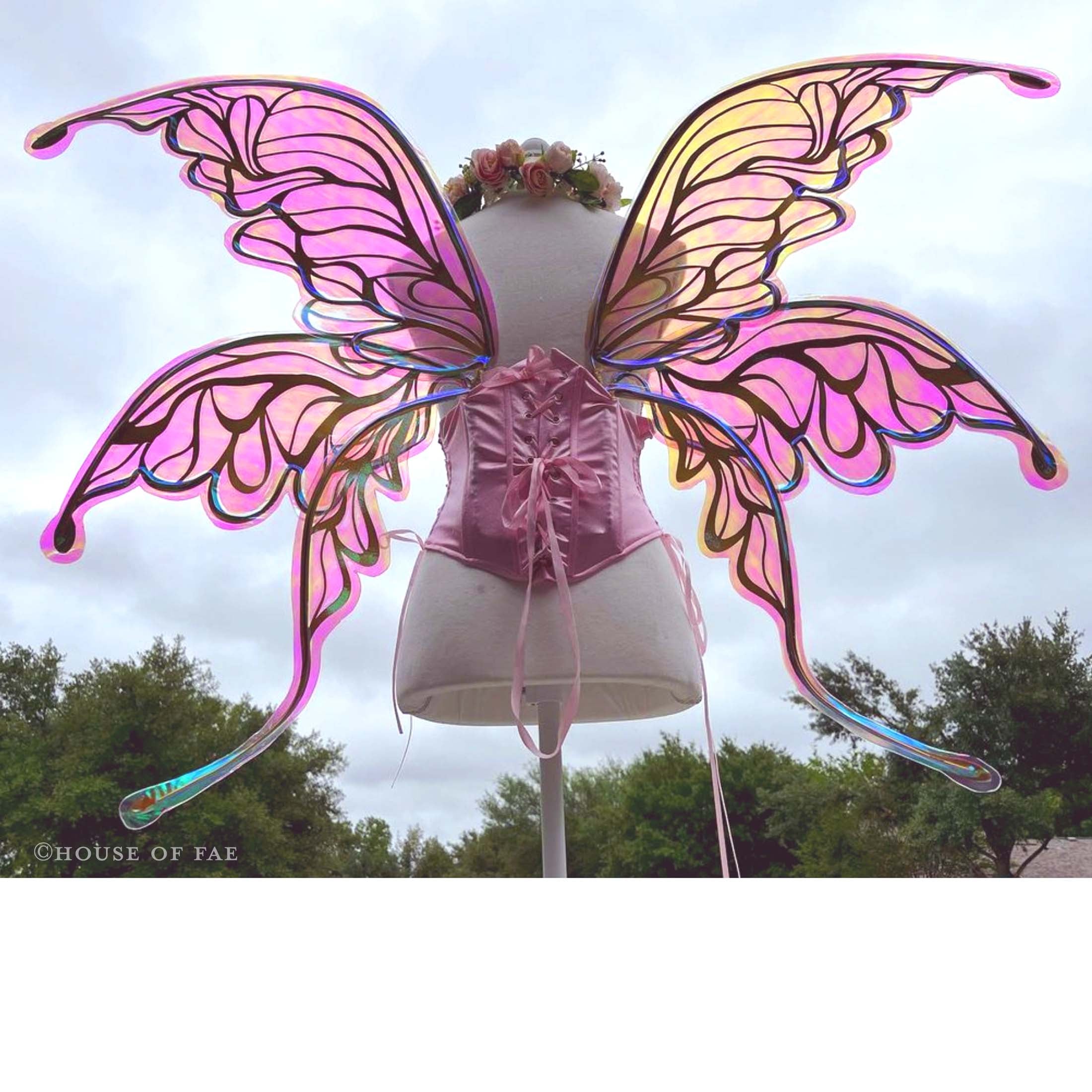 SVG Fairy Wings