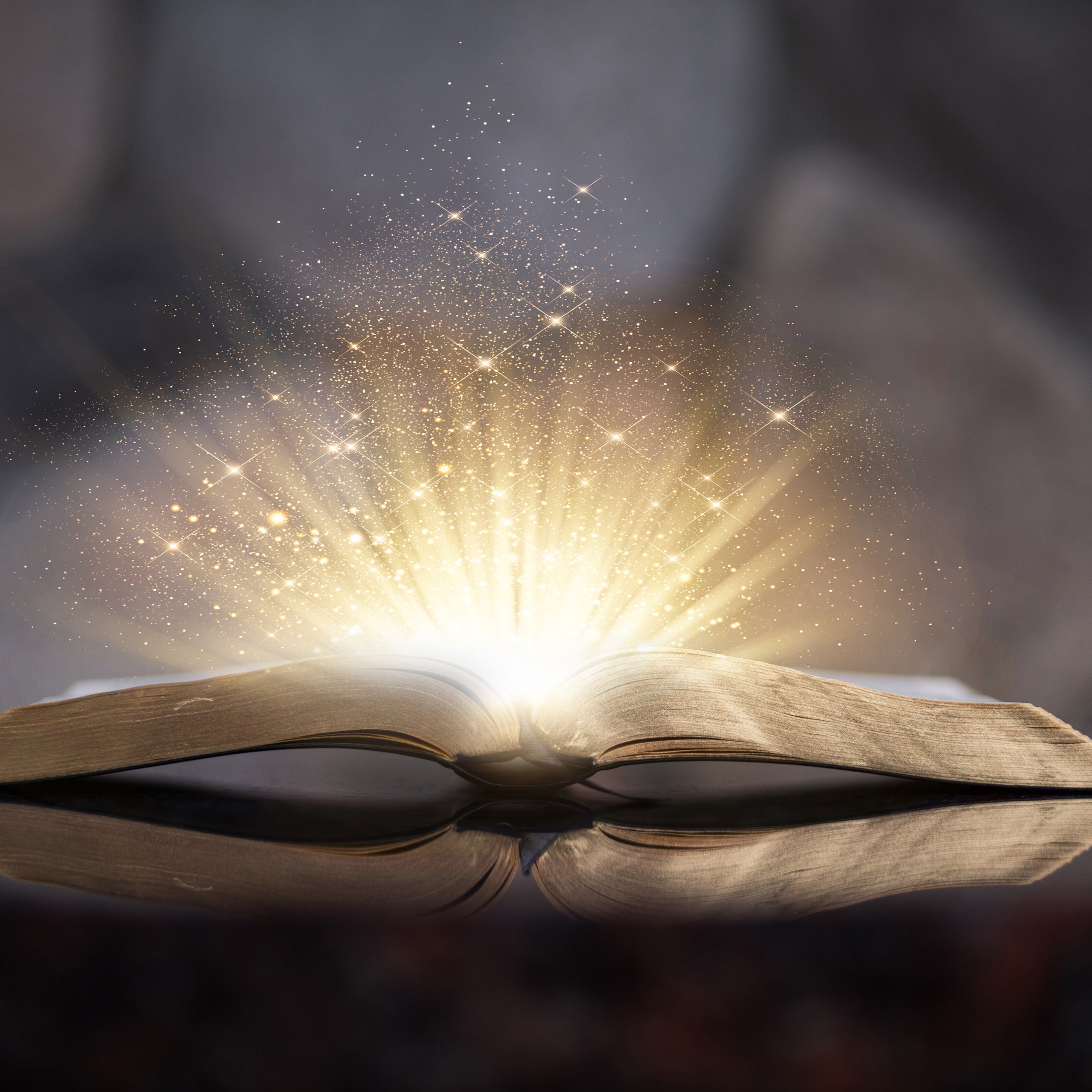 Fairytale, Fog & Sparkles