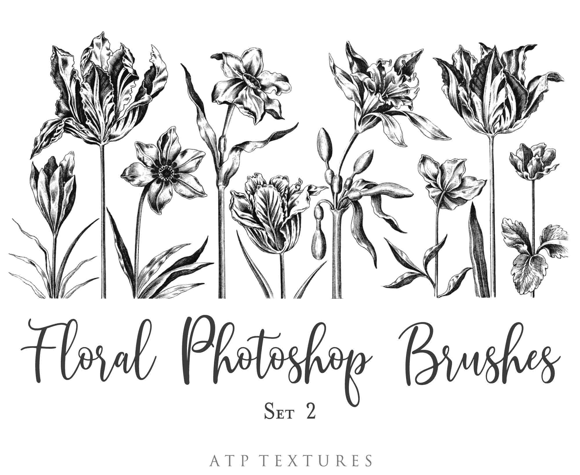 Photoshop Brushes for Photography, Scrapbooking and Digital Art. 45 Beautiful Cochin Floral Brushes.High resolution and perfect for printing without any loss in quality.These are created from beautiful, aged medieval prints. ATP Textures