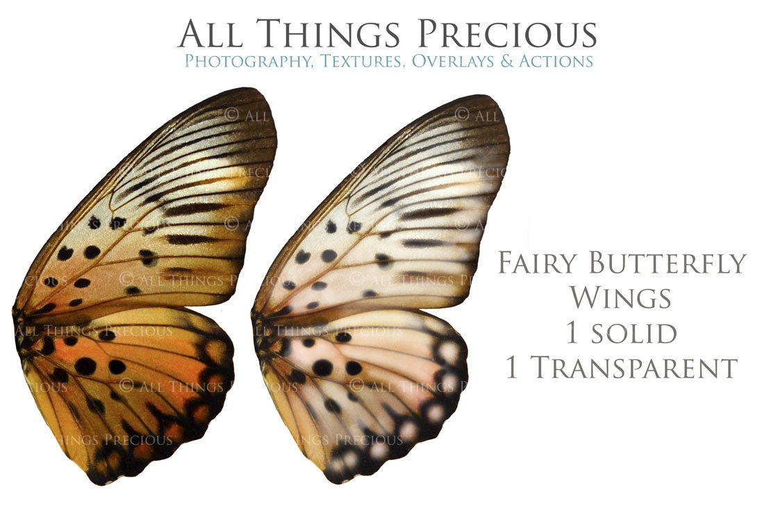 Png Digital Overlays FAIRY WINGS and BUTTERFLIES Set 1