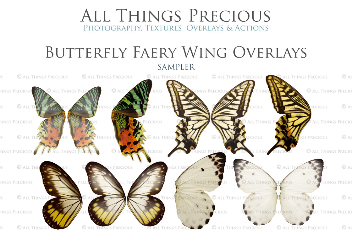 Digital Fairy Wing Overlays clipart. Png transparent see through files for photoshop. Photography editing. High resolution, 300dpi. Printable, Photography Graphic Assets, add on stock resources. Scrapbooking design. Fairy Photographer edit tools. Colourful. ATP Textures. Overlays. Actions, Printable design.