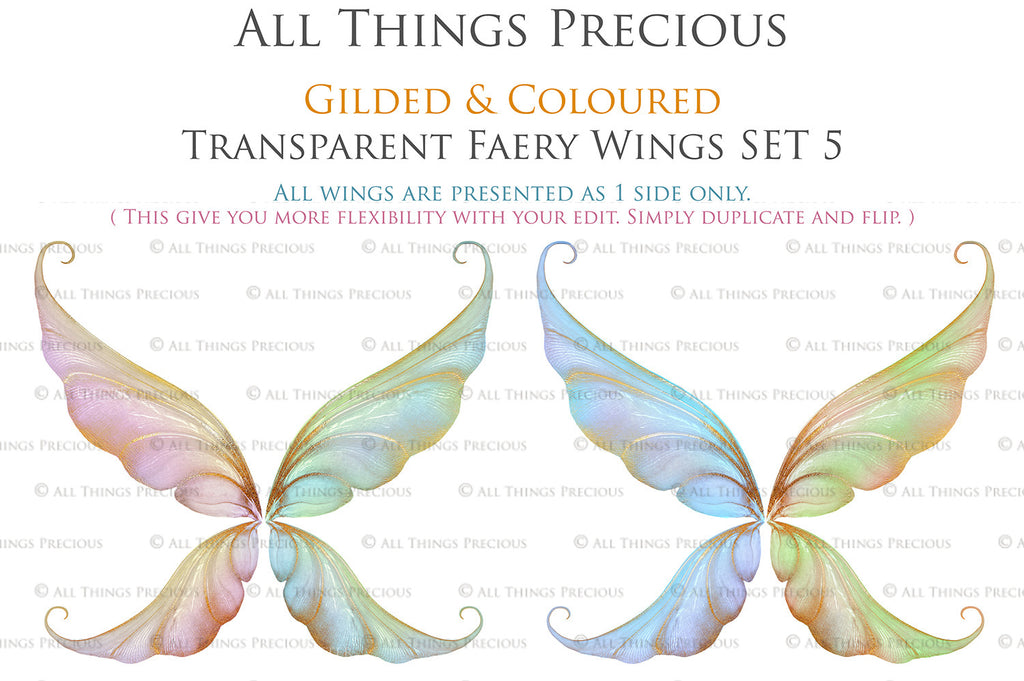 Colour Sparkling fairy wings, Png overlays for photoshop. High resolution transparent, see through wings. Fairycore, Cosplay, Photographers, Photoshop Edits, Digital overlay for photography. Digital stock and resources. Graphic design. Colourful, Gold, Fantasy Wing Bundle. Assets for Fine Art design. By ATP Textures