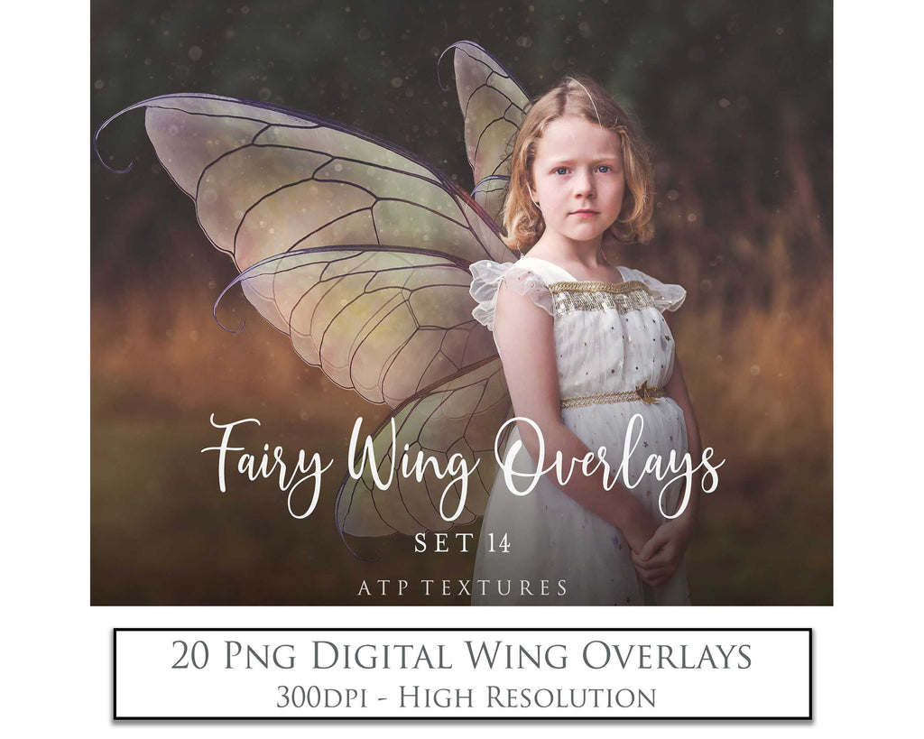 Digital Fairy Wing Overlays clipart. Png transparent see through files for photoshop. Butterfly Angel, Color, Print Photography editing. High resolution, 300dpi. Printable, Photography Graphic design assets, add on stock resources. Magical Scrapbooking design. Fairy Photographer edit. Colorful Big Bundle. ATP Textures.