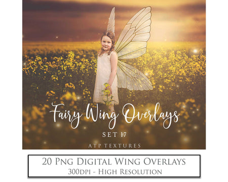 Digital Fairy Wing Overlays clipart. Png transparent see through files for photoshop. Butterfly Angel, Color, Print Photography editing. High resolution, 300dpi. Printable, Photography Graphic design assets, add on stock resources. Magical Scrapbooking design. Fairy Photographer edit. Colorful Big Bundle. ATP Textures.