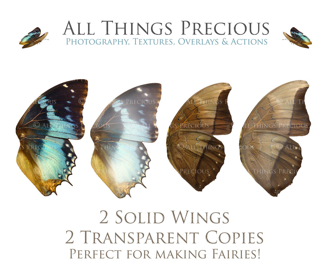 Png Digital Overlays FAIRY WINGS and BUTTERFLIES Set 3