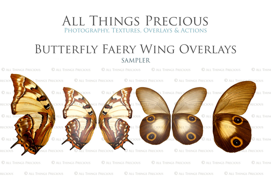 Digital Fairy Wing Overlays clipart. Png transparent see through files for photoshop. Photography editing. High resolution, 300dpi. Printable, Photography Graphic Assets, add on stock resources. Scrapbooking design. Fairy Photographer edit tools. Colourful. ATP Textures. Overlays. Actions, Printable design.