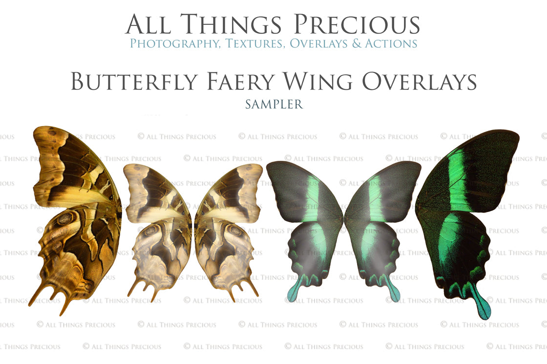 Digital Fairy Wing Overlays clipart. Png transparent see through files for photoshop. Photography editing. High resolution, 300dpi. Printable, Photography Graphic Assets, add on stock resources. Scrapbooking design. Fairy Photographer edit tools. Colourful. ATP Textures. Overlays. Actions, Printable design.