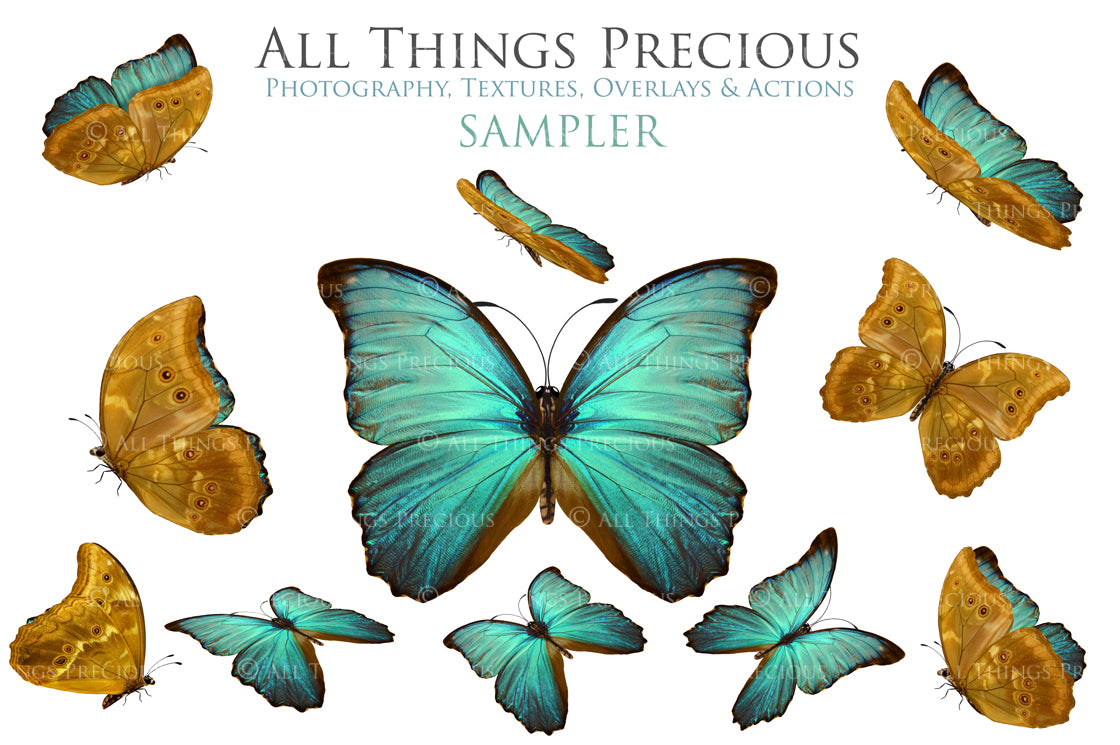 Png Digital Overlays FAIRY WINGS and BUTTERFLIES Set 9
