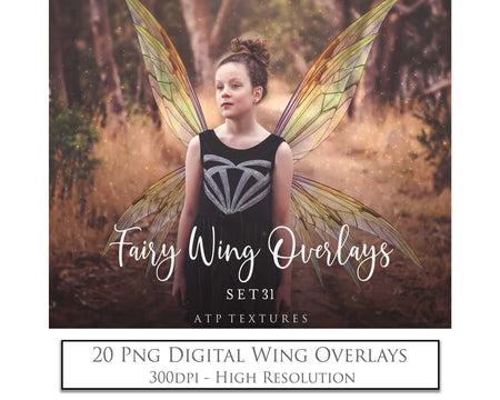 Digital Fairy Wings Overlays clipart. Png transparent see through files for photoshop. Butterfly Angel, Color, Print Photography editing. High resolution, 300dpi. Printable, Photography Graphic design assets, add on stock resources. Magical Scrapbooking design. Faery Photographer edit. Colorful Big Bundle. ATP Textures