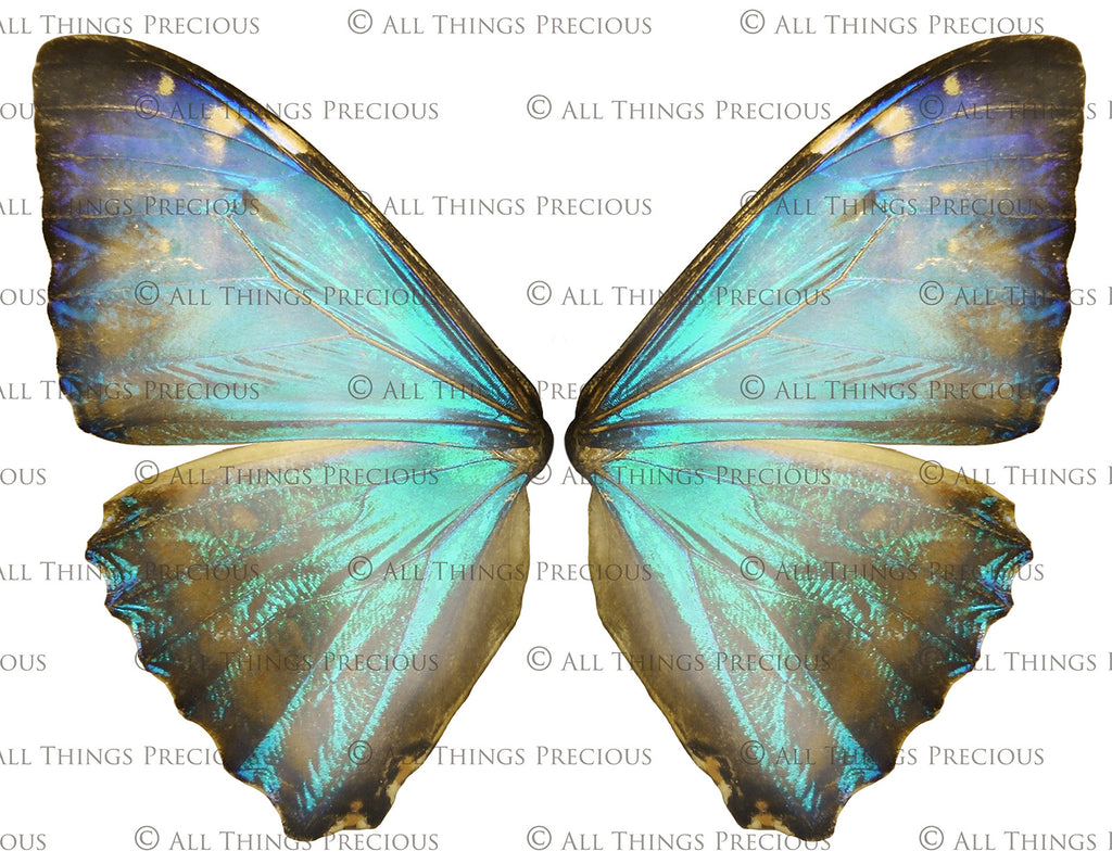 Digital Fairy Wing Overlays clipart. Png transparent see through files for photoshop. Photography editing. High resolution, 300dpi. Printable, Photography Graphic Assets, add on stock resources. Scrapbooking design. Fairy Photographer edit tools. Colourful. ATP Textures. Overlays. Actions, Printable design.