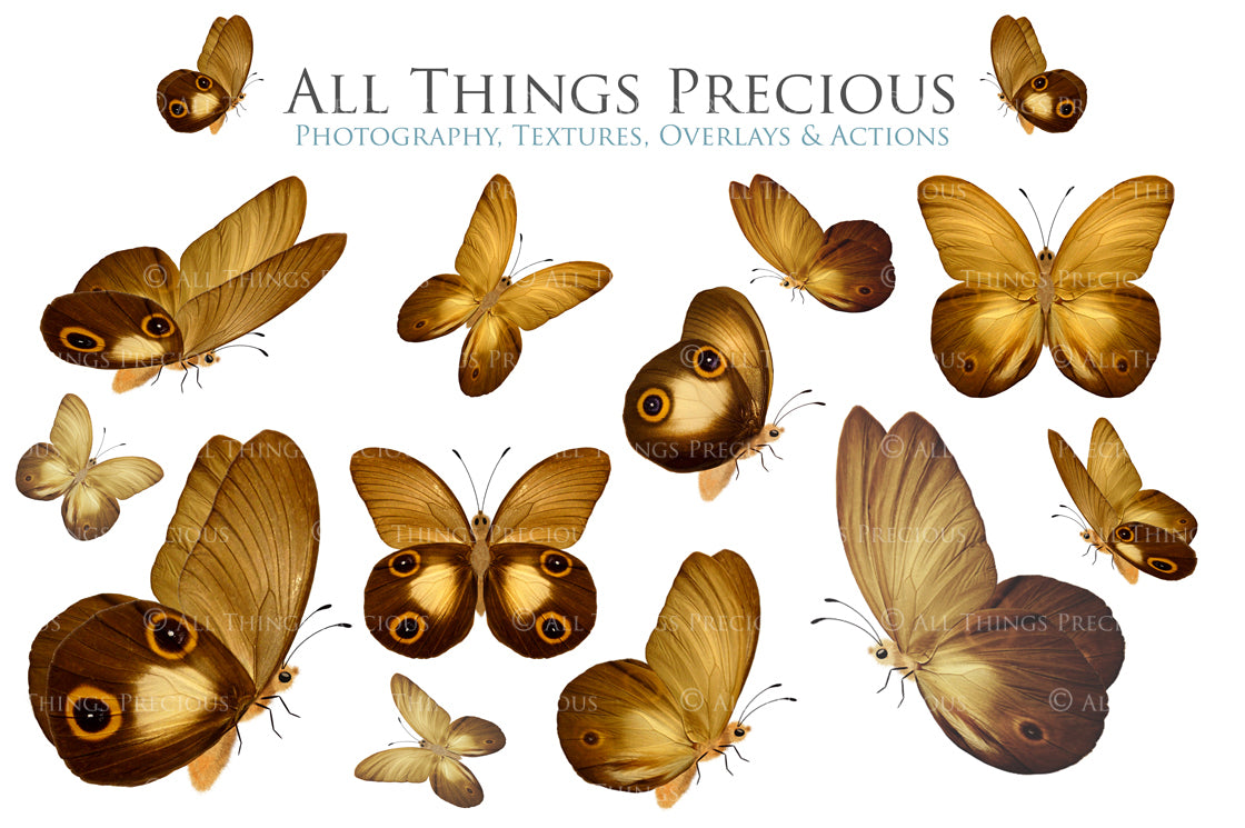 Png Digital Overlays FAIRY WINGS and BUTTERFLIES Set 7