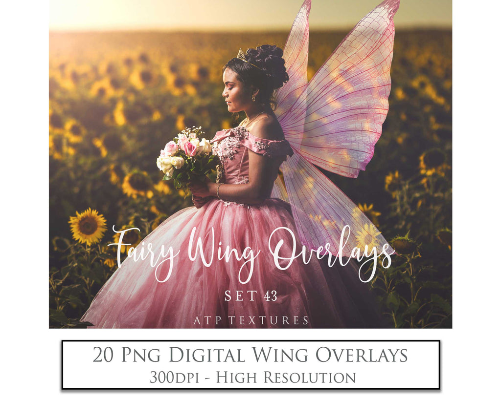 Digital Fairy Wings Overlays clipart. Png transparent see through files for photoshop. Butterfly Angel, Color, Print Photography editing. High resolution, 300dpi. Printable, Photography Graphic design assets, add on stock resources. Magical Scrapbooking design. Faery Photographer edit. Colorful Big Bundle. ATP Textures