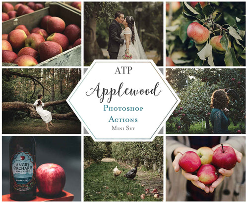 Photoshop Actions for professional photographers, Photo Edits and intagram influencers. Warm, Rich, Honey, Light Tint. Matte Overlay.  By ATP Textures