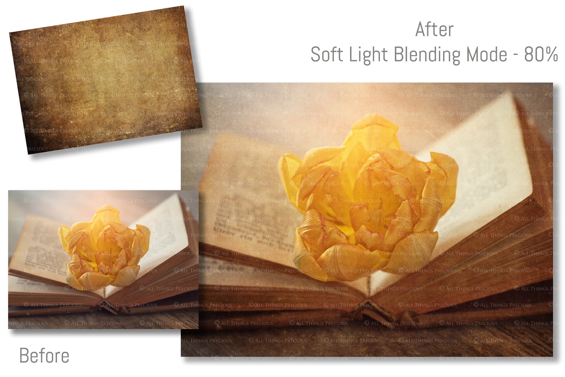 Fine Art Textures for photographers and digital editing. Photo Overlays. Antique, Vintage, Grunge, Warm, Rich, Scratch, Canvas, Light, Dark Variety Bundle.  Graphic Assets for photography and design. By ATP Textures