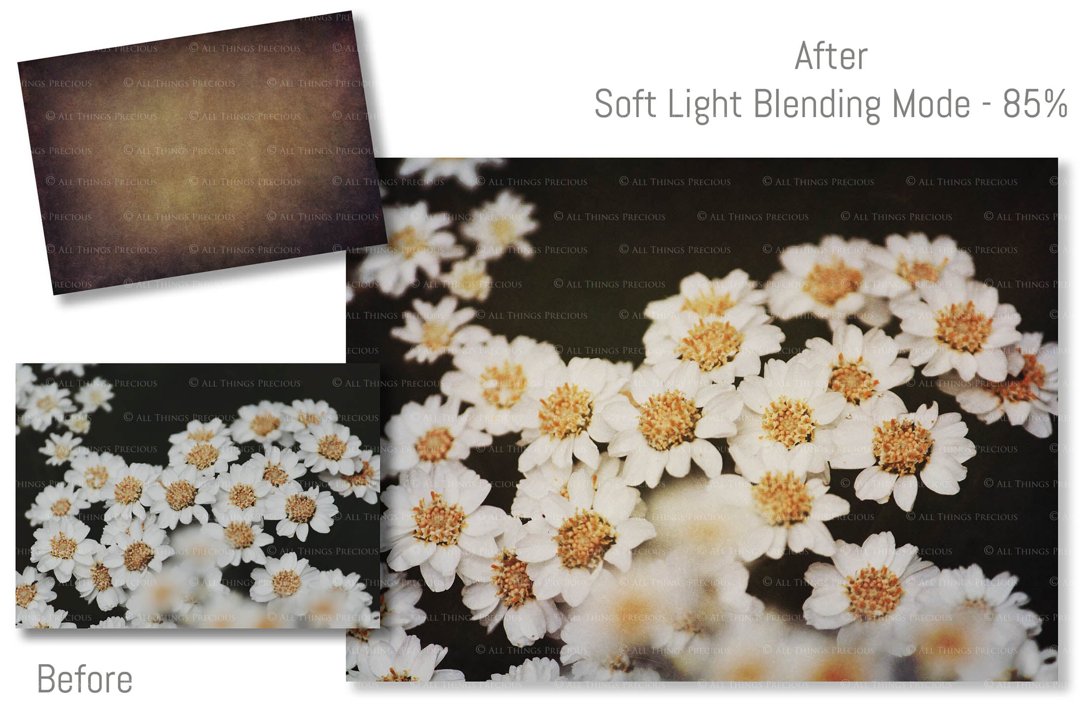 Fine Art Textures for photographers and digital editing. Photo Overlays. Antique, Vintage, Grunge, Light, Dark Variety Bundle.  Graphic Assets for photography and design. By ATP Textures