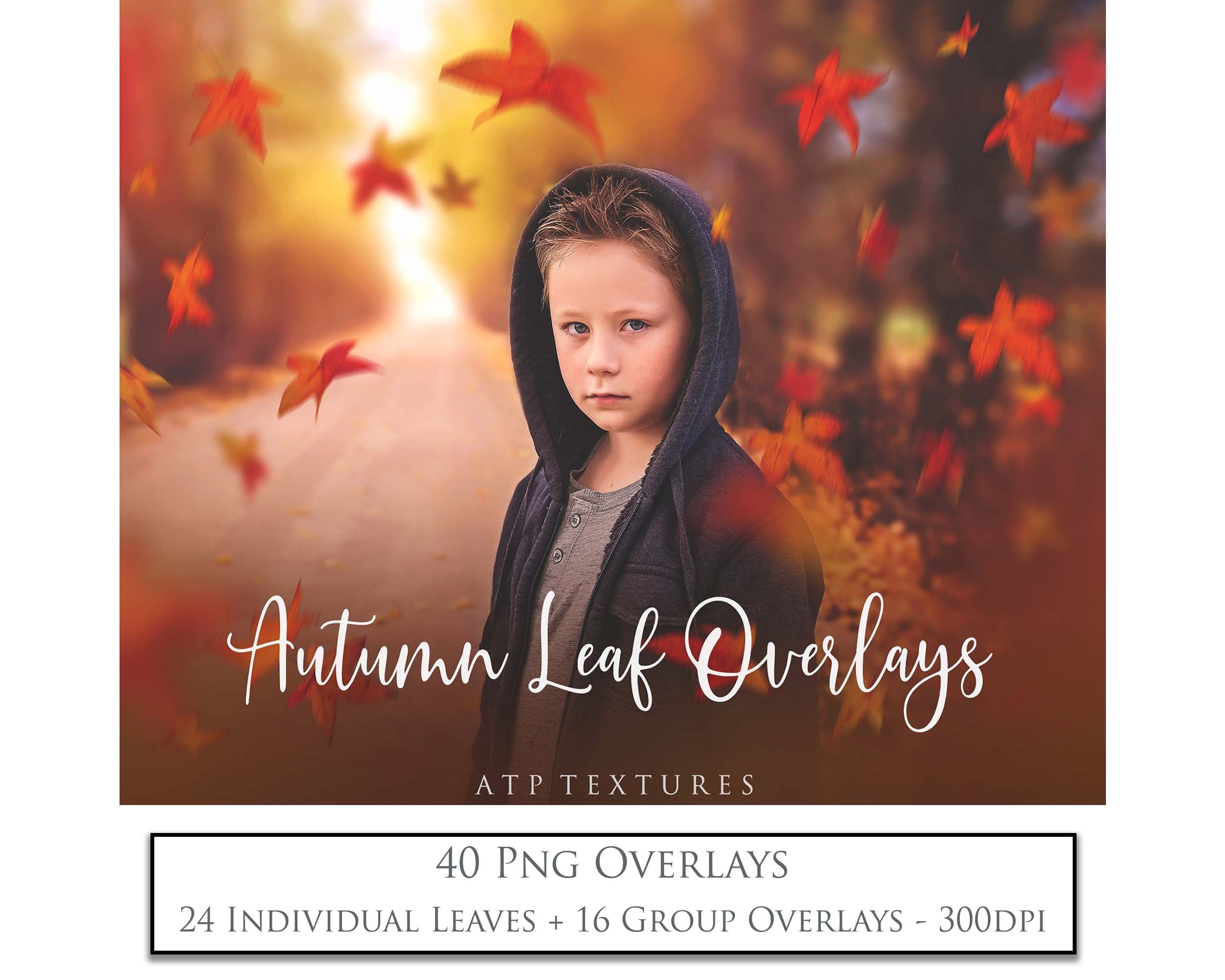 AUTUMN / FALL LEAF OVERLAYS Digital Overlays