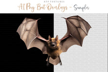 Load image into Gallery viewer, FLYING BAT Clipart Animals - Digital Overlays
