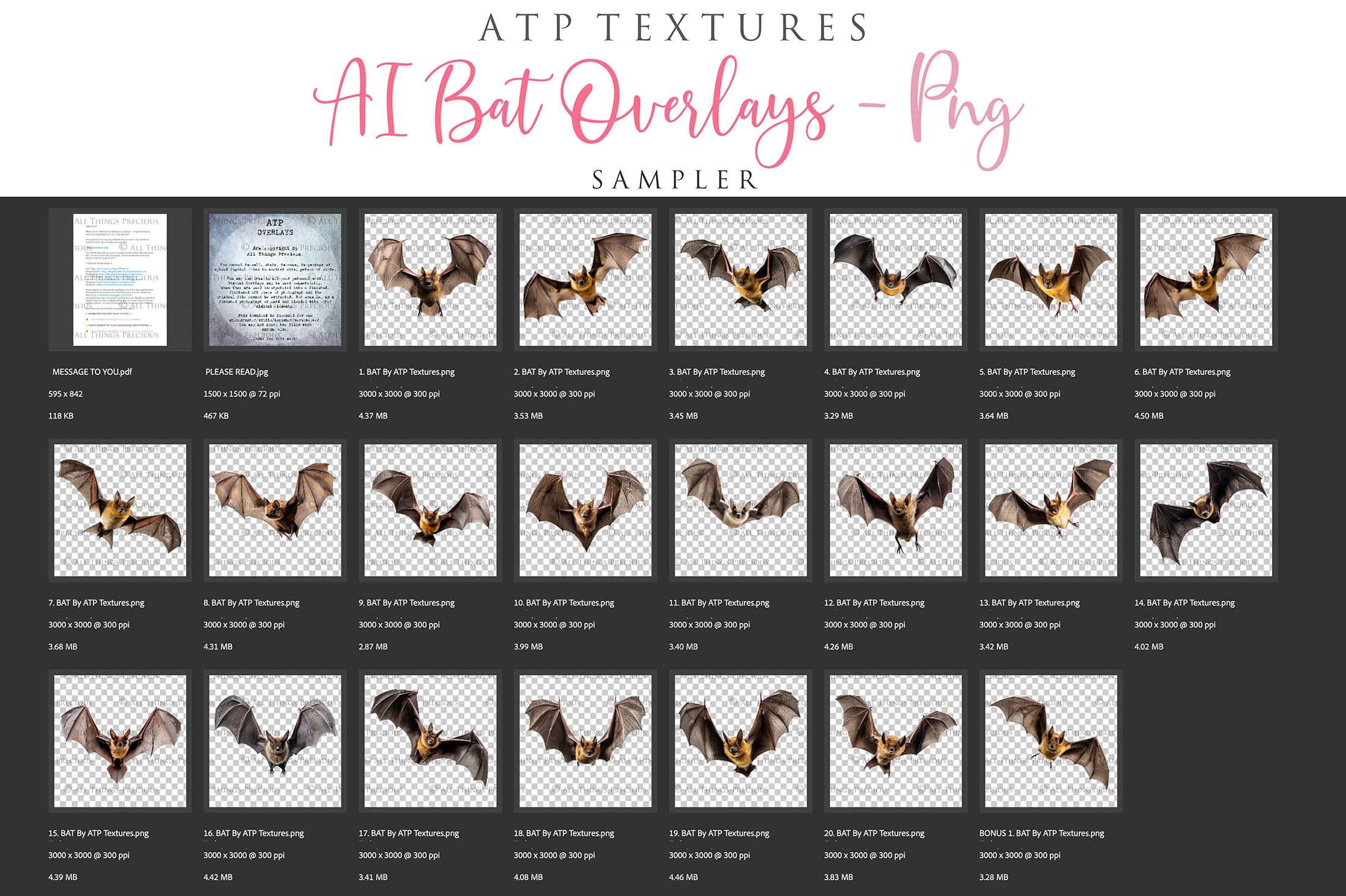 FLYING BAT Clipart Animals - Digital Overlays