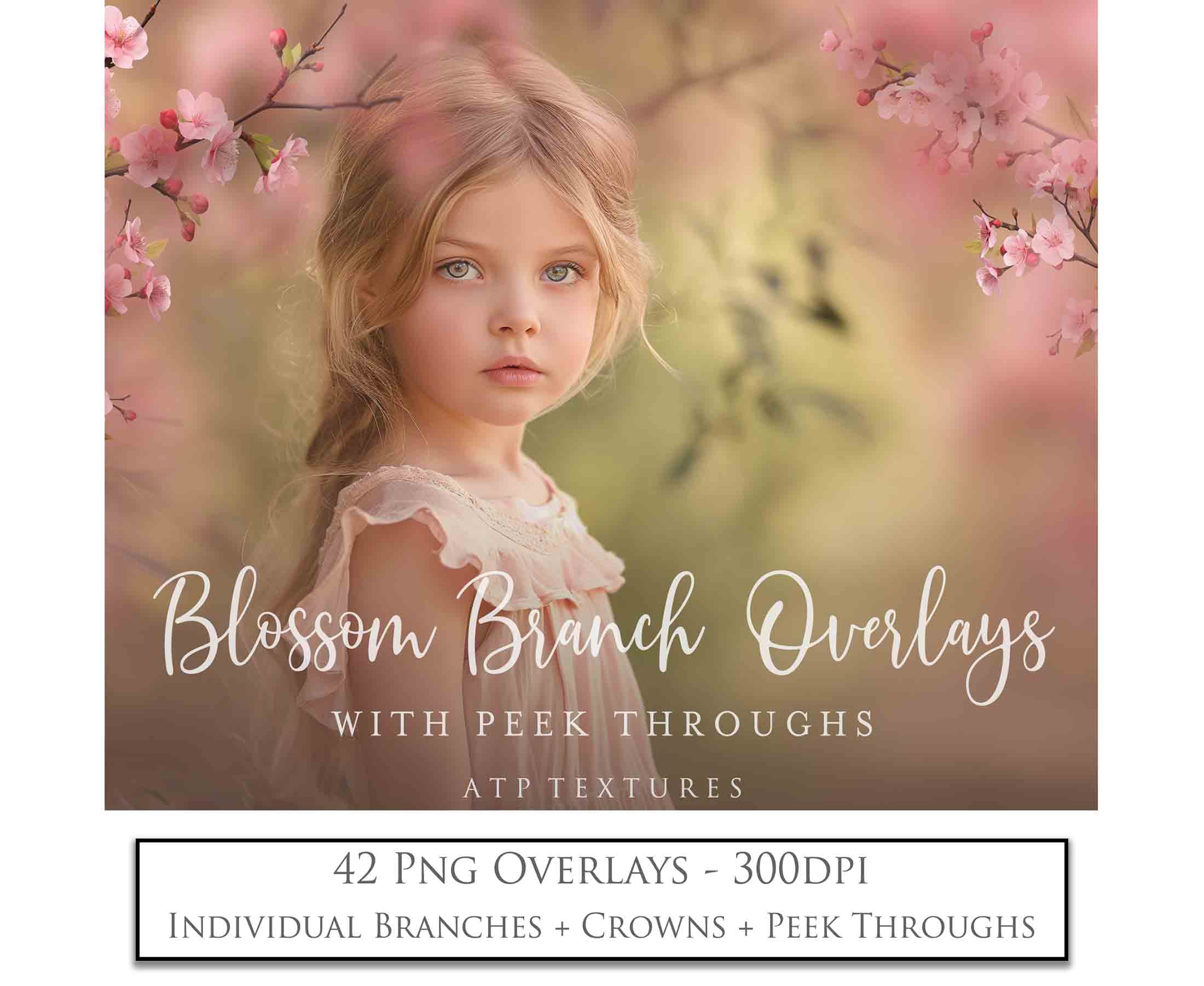 Blossom Branches overlays for photography and digital scrapbooking. Png Peek Throughs and petals. High resolution, leaves, autumn overlays, Spring overlay, photo overlays by ATP textures.