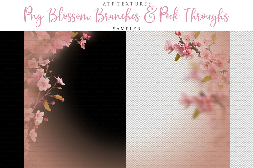 Blossom Branches overlays for photography and digital scrapbooking. Png Peek Throughs and petals. High resolution, leaves, autumn overlays, Spring overlay, photo overlays by ATP textures.