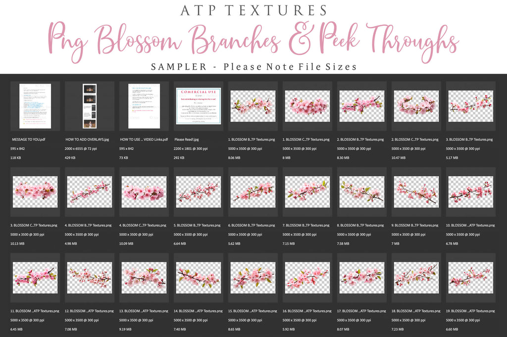 Blossom Branches overlays for photography and digital scrapbooking. Png Peek Throughs and petals. High resolution, leaves, autumn overlays, Spring overlay, photo overlays by ATP textures.