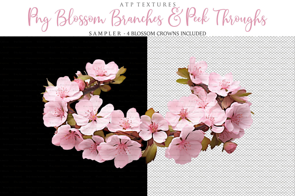 Blossom Branches overlays for photography and digital scrapbooking. Png Peek Throughs and petals. High resolution, leaves, autumn overlays, Spring overlay, photo overlays by ATP textures.