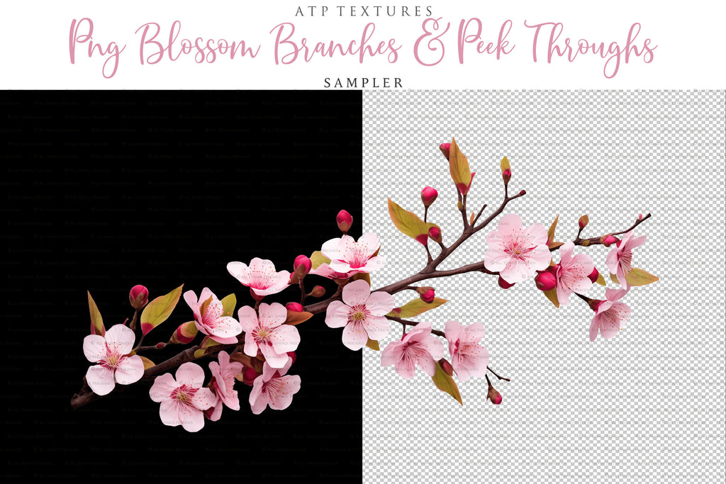 Blossom Branches overlays for photography and digital scrapbooking. Png Peek Throughs and petals. High resolution, leaves, autumn overlays, Spring overlay, photo overlays by ATP textures.