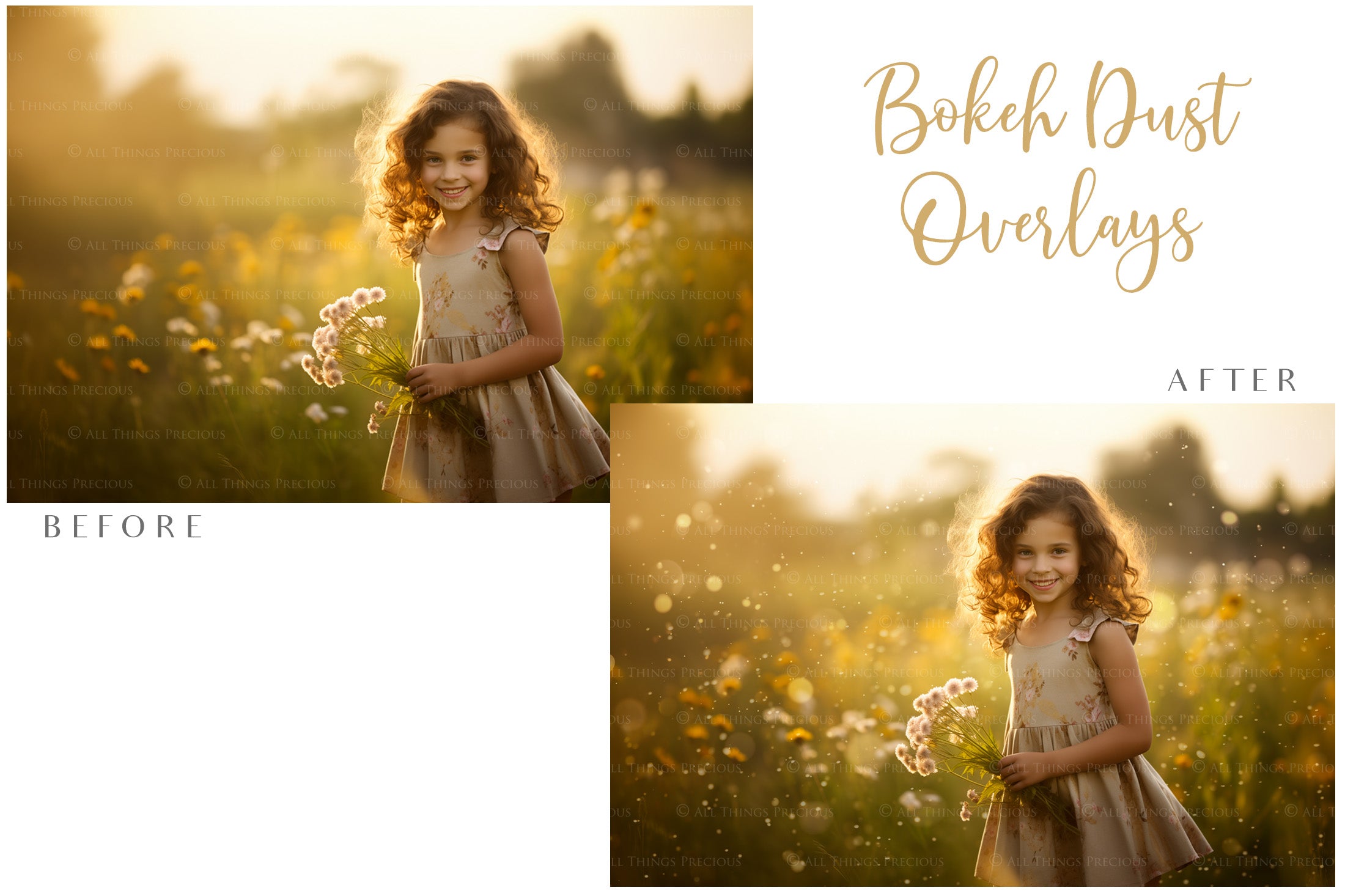 100 Particle and Bokeh Dust Overlays Graphic effects for editing. These are in Jpeg format. Print in a large size without altering the overall quality. High resolution Digital file Download. Dust motes, lighting Add ons. ATP Textures.