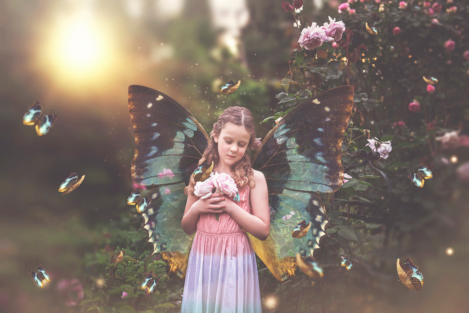 Butterfly wing overlays digital png transparent files.