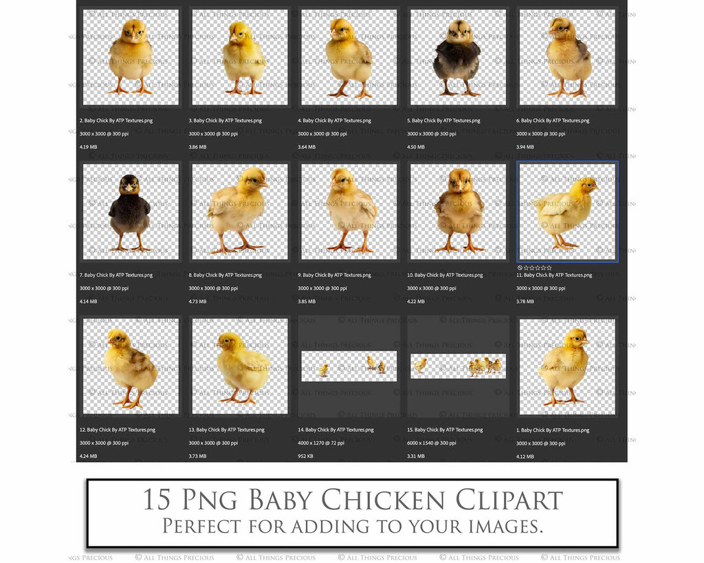 Baby chicken clipart overlays in png. Digital overlays for photography editing in photoshop. Graphic Effects and assets. lighting Add ons. ATP Textures.