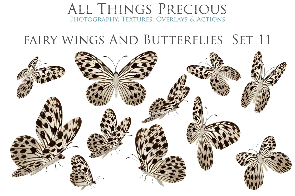 Png Digital Overlays FAIRY WINGS and BUTTERFLIES Set 11