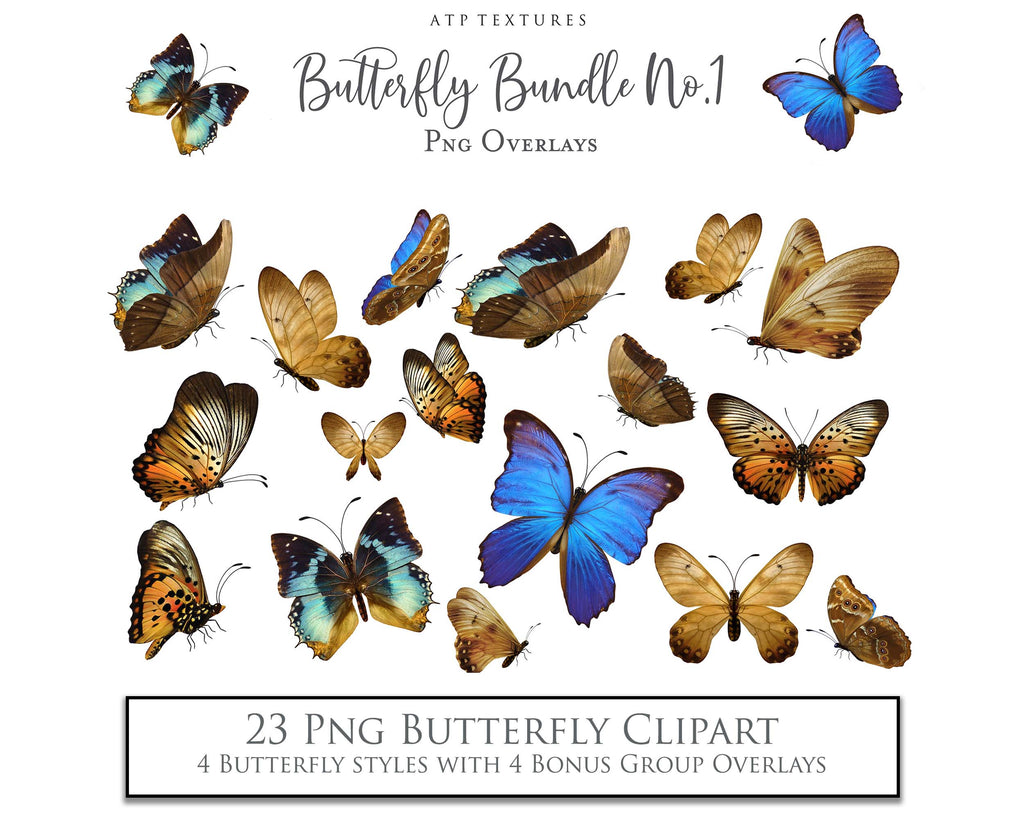 Butterfly clipart overlays for digital design. Png Sublimation Graphic assets in High resolution. Perfect for scrapbooking, photography and print. Realistic quality hand made add ons. Find these and more in my store. ATP Textures.