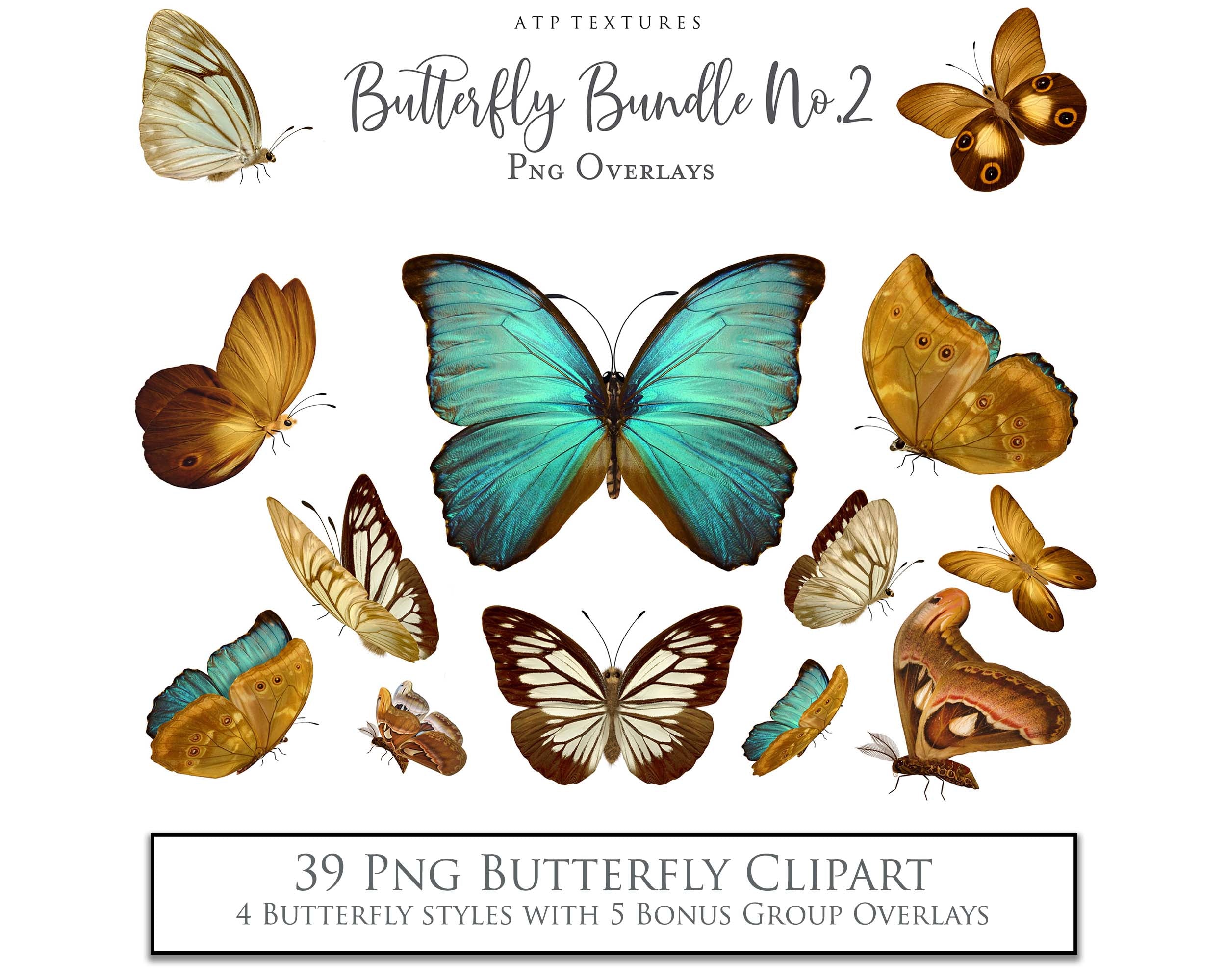 Butterfly clipart overlays for digital design. Png Sublimation Graphic assets in High resolution. Perfect for scrapbooking, photography and print. Realistic quality hand made add ons. Find these and more in my store. ATP Textures.