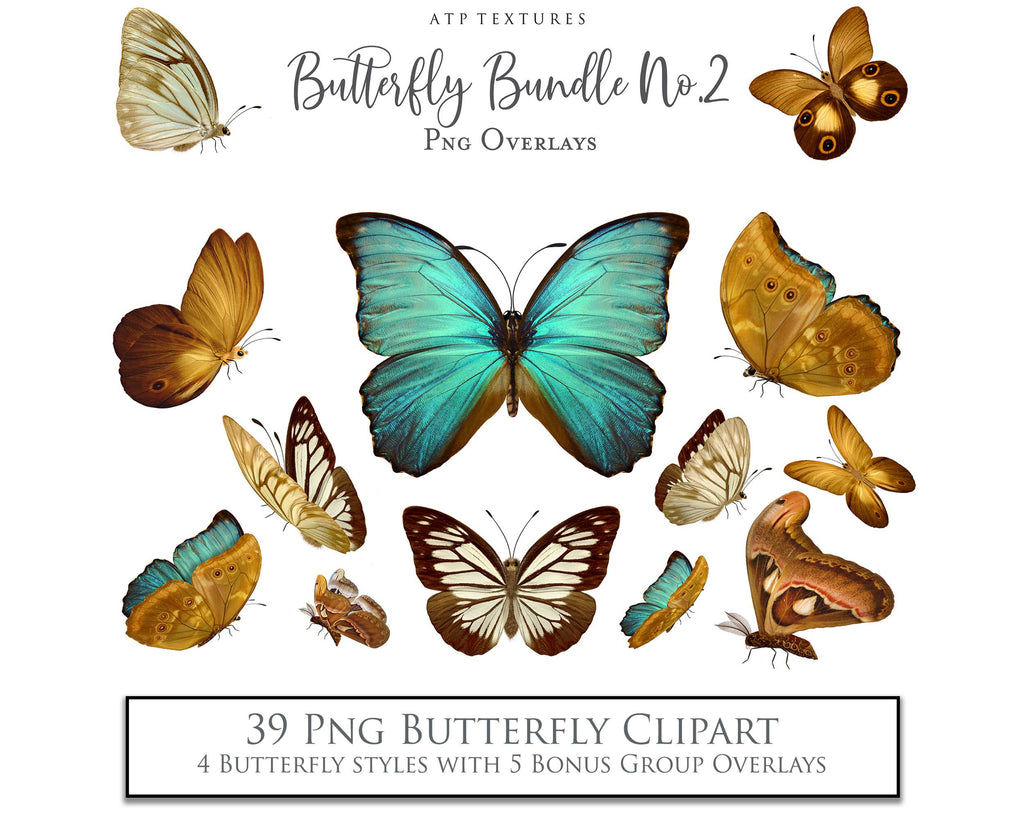 Butterfly clipart overlays for digital design. Png Sublimation Graphic assets in High resolution. Perfect for scrapbooking, photography and print. Realistic quality hand made add ons. Find these and more in my store. ATP Textures.