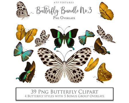 Butterfly clipart overlays for digital design. Png Sublimation Graphic assets in High resolution. Perfect for scrapbooking, photography and print. Realistic quality hand made add ons. Find these and more in my store. ATP Textures.