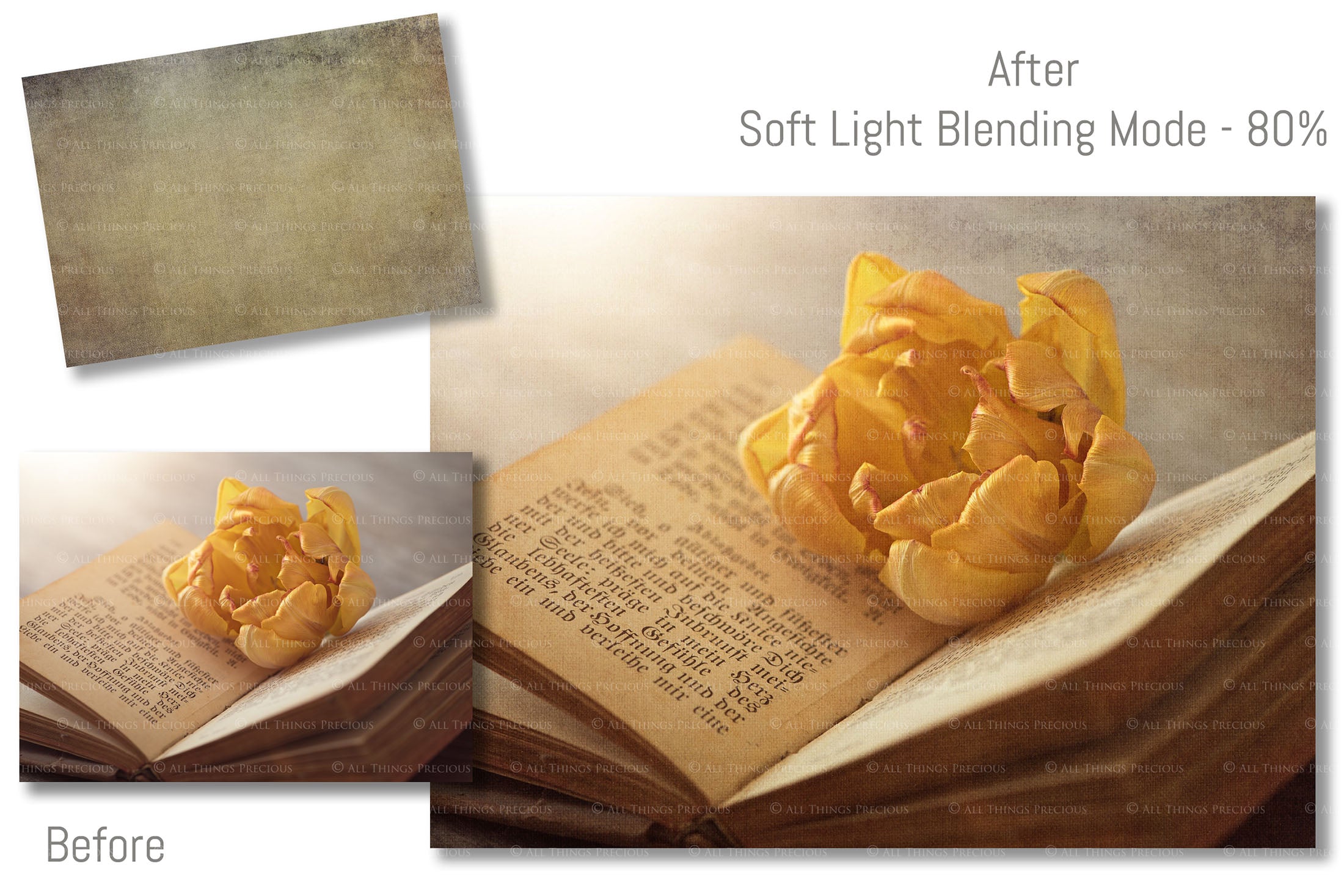 Fine Art Textures for photographers and digital editing. Photo Overlays. Antique, Vintage, Grunge, Light, Dark Variety Bundle.  Textured printable Canvas, Colour, Monochrome, Bundle. High resolution, 300dpi Graphic Assets for photography, digital scrapbooking and design. By ATP Textures