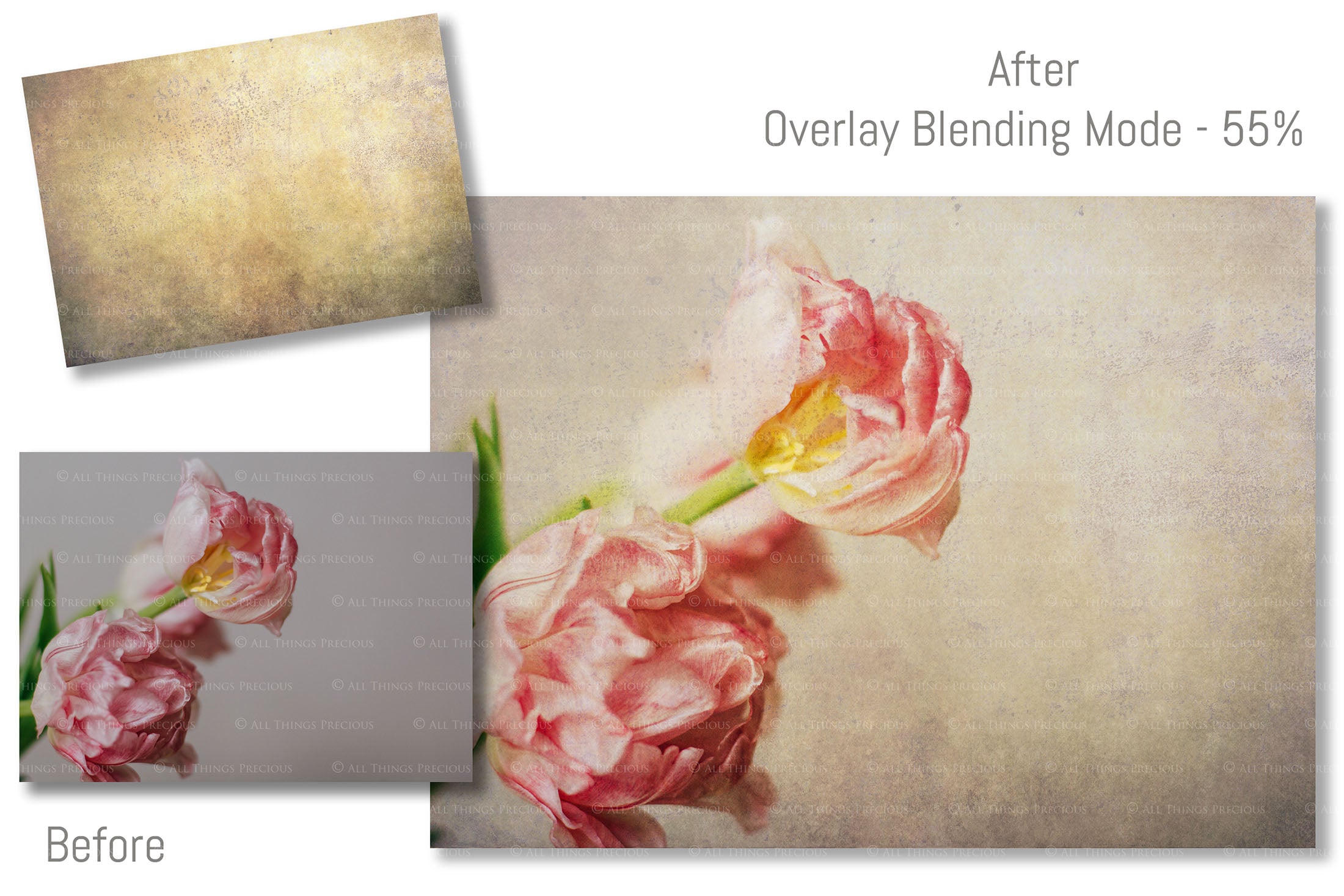 40 High resolution Textures for Photographers, Photoshop, Digital art and Creatives. Digital photography edits, Photoshop. Scratch, Fine Art Antique, Vintage, Grunge, Light, Dark Bundle. Textured printable Canvas, Colour, Monochrome, Bundle. Graphic Assets for photography, digital scrapbooking and design. ATP Textures