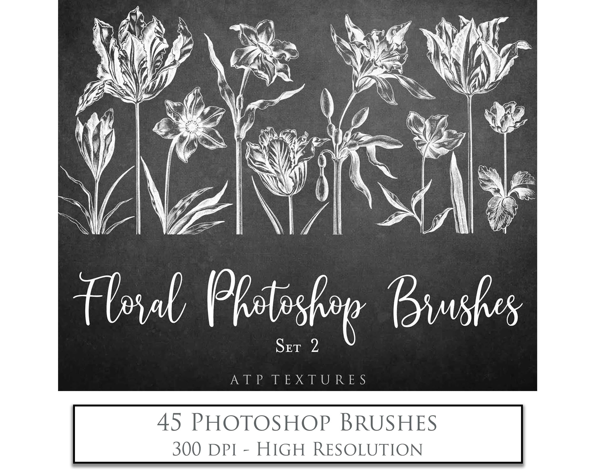 Photoshop Brushes for Photography, Scrapbooking and Digital Art. 45 Beautiful Cochin Floral Brushes.High resolution and perfect for printing without any loss in quality.These are created from beautiful, aged medieval prints. ATP Textures