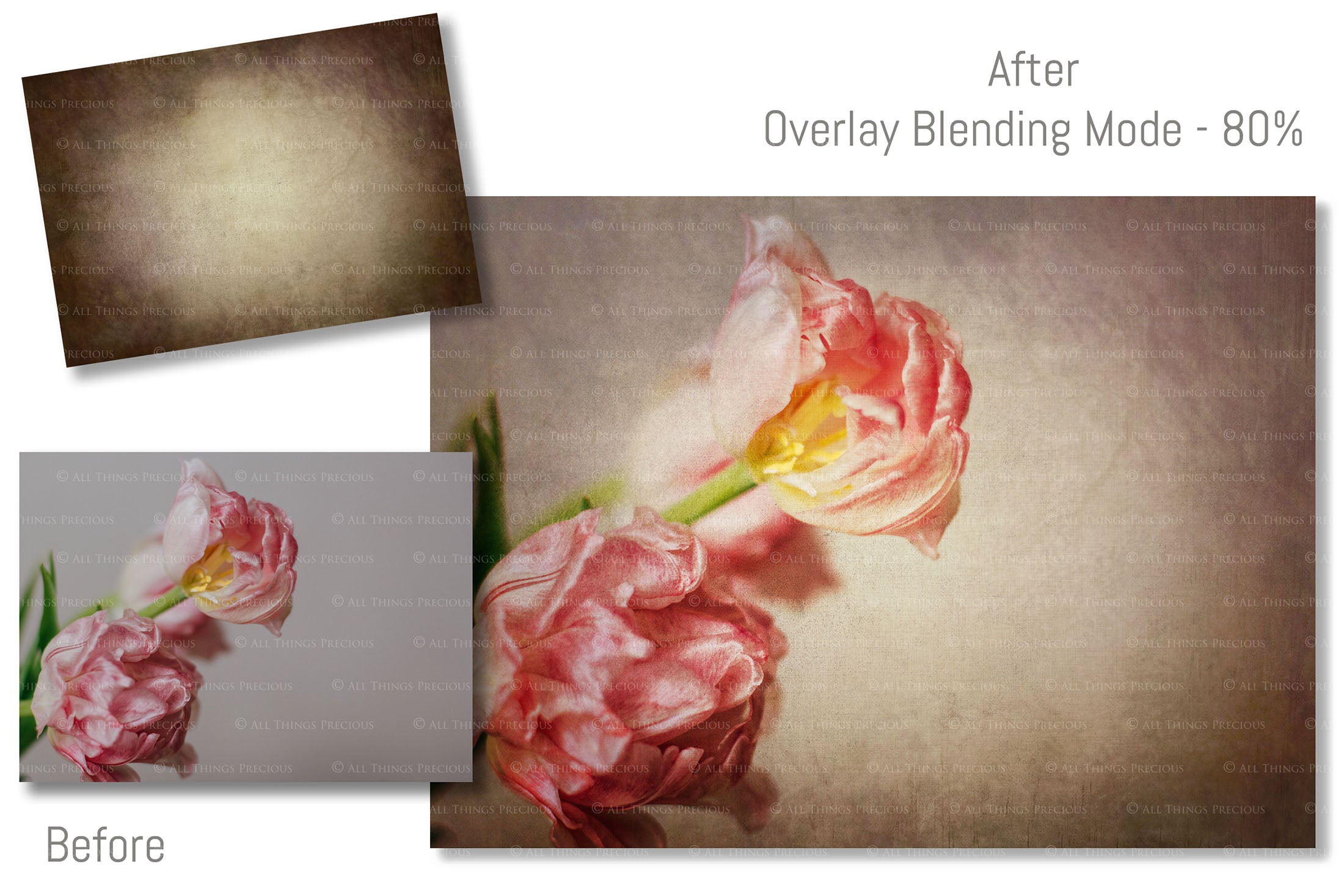 Earth fine art textures. Rich, warm colour tints. Texture for photographers and digital editing. Photo Overlays. Antique, Vintage, Grunge, Light, Dark Bundle. Textured printable Canvas, Colour, Monochrome, Bundle. High resolution, 300dpi Graphic Assets for photography, digital scrapbooking and design. By ATP Textures