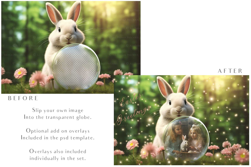 Easter bunny Announcement PSD template and Overlays. Digital Background, with Glows and petals. The globe is transparent, perfect for you to add your own images and retain the glass globe effect.This file is 6000 x 4000, 300dpi. Photography, Scrapbooking, Png, Jpeg, Psd. ATP Textures.