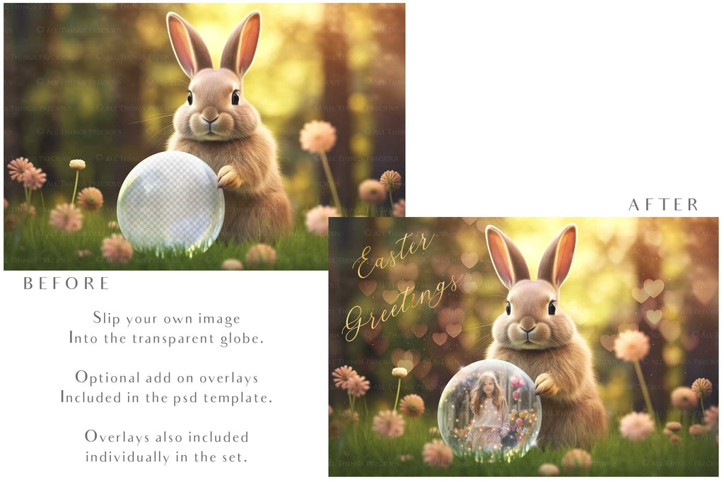 Easter bunny Announcement PSD template and Overlays. Digital Background, with Glows and petals. The globe is transparent, perfect for you to add your own images and retain the glass globe effect.This file is 6000 x 4000, 300dpi. Photography, Scrapbooking, Png, Jpeg, Psd. ATP Textures.