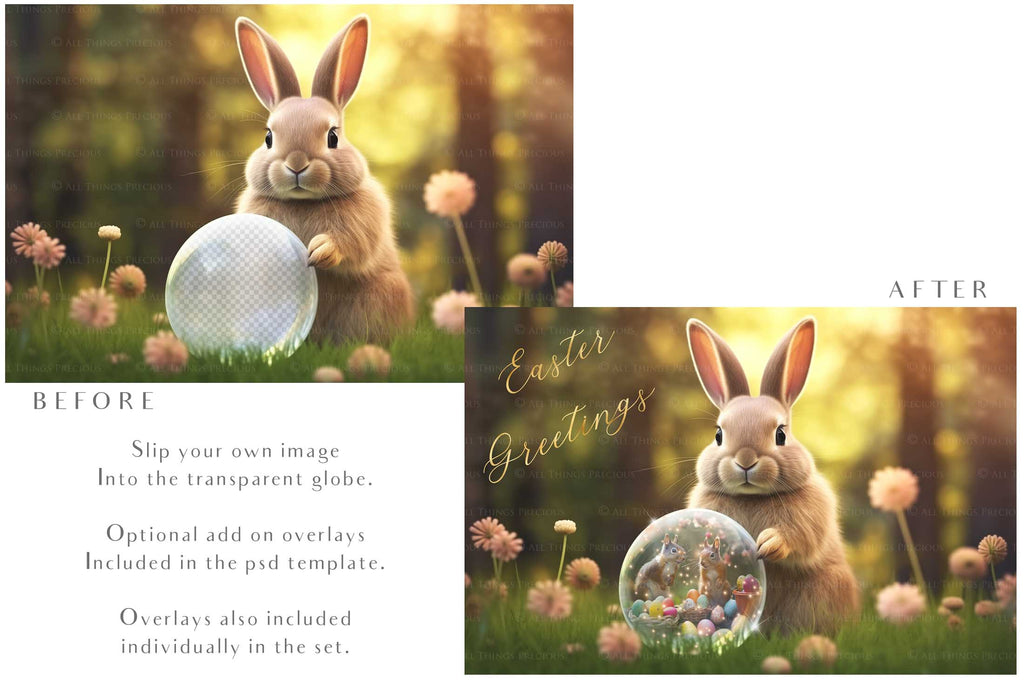 Easter bunny Announcement PSD template and Overlays. Digital Background, with Glows and petals. The globe is transparent, perfect for you to add your own images and retain the glass globe effect.This file is 6000 x 4000, 300dpi. Photography, Scrapbooking, Png, Jpeg, Psd. ATP Textures.