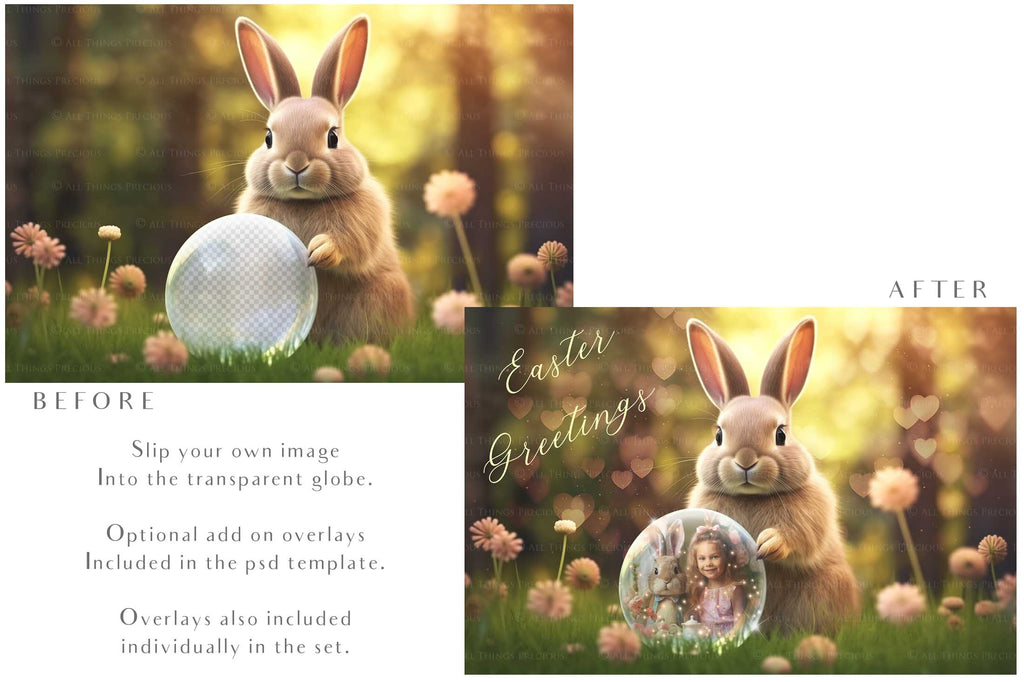 Easter bunny Announcement PSD template and Overlays. Digital Background, with Glows and petals. The globe is transparent, perfect for you to add your own images and retain the glass globe effect.This file is 6000 x 4000, 300dpi. Photography, Scrapbooking, Png, Jpeg, Psd. ATP Textures.