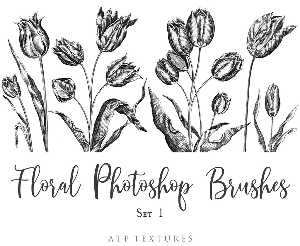 Photoshop Brushes for Photography, Scrapbooking and Digital Art. 45 Beautiful Cochin Floral Brushes.High resolution and perfect for printing without any loss in quality.These are created from beautiful, aged medieval prints. ATP Textures