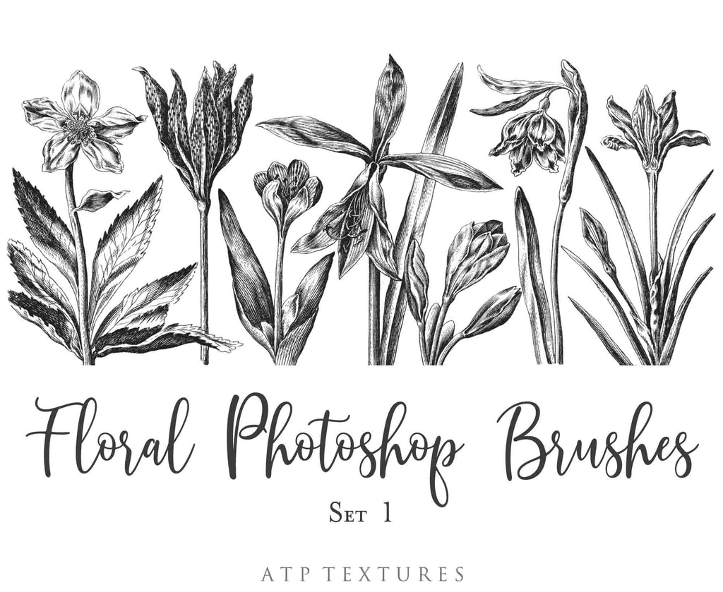 Photoshop Brushes for Photography, Scrapbooking and Digital Art. 45 Beautiful Cochin Floral Brushes.High resolution and perfect for printing without any loss in quality.These are created from beautiful, aged medieval prints. ATP Textures